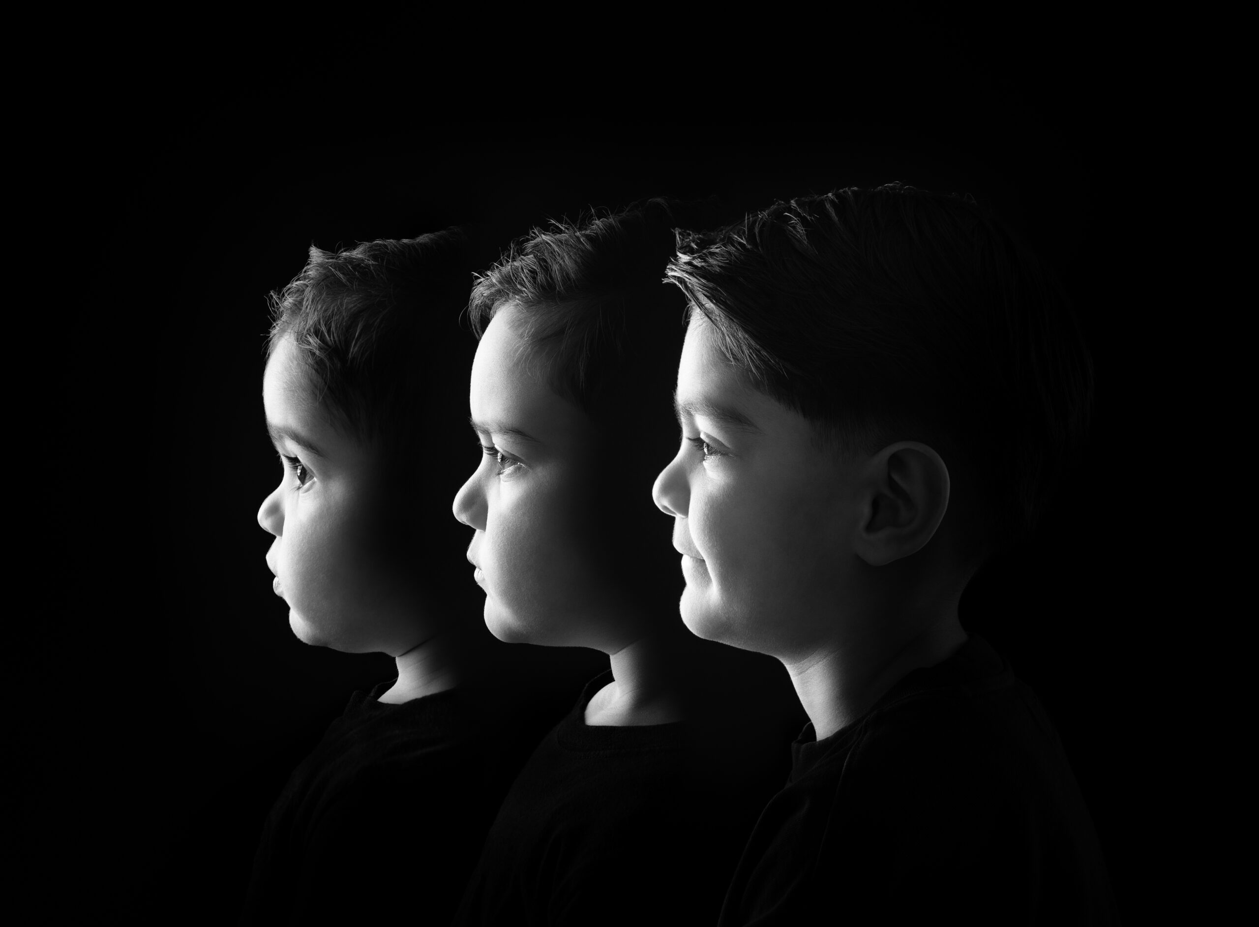 3-in-1
