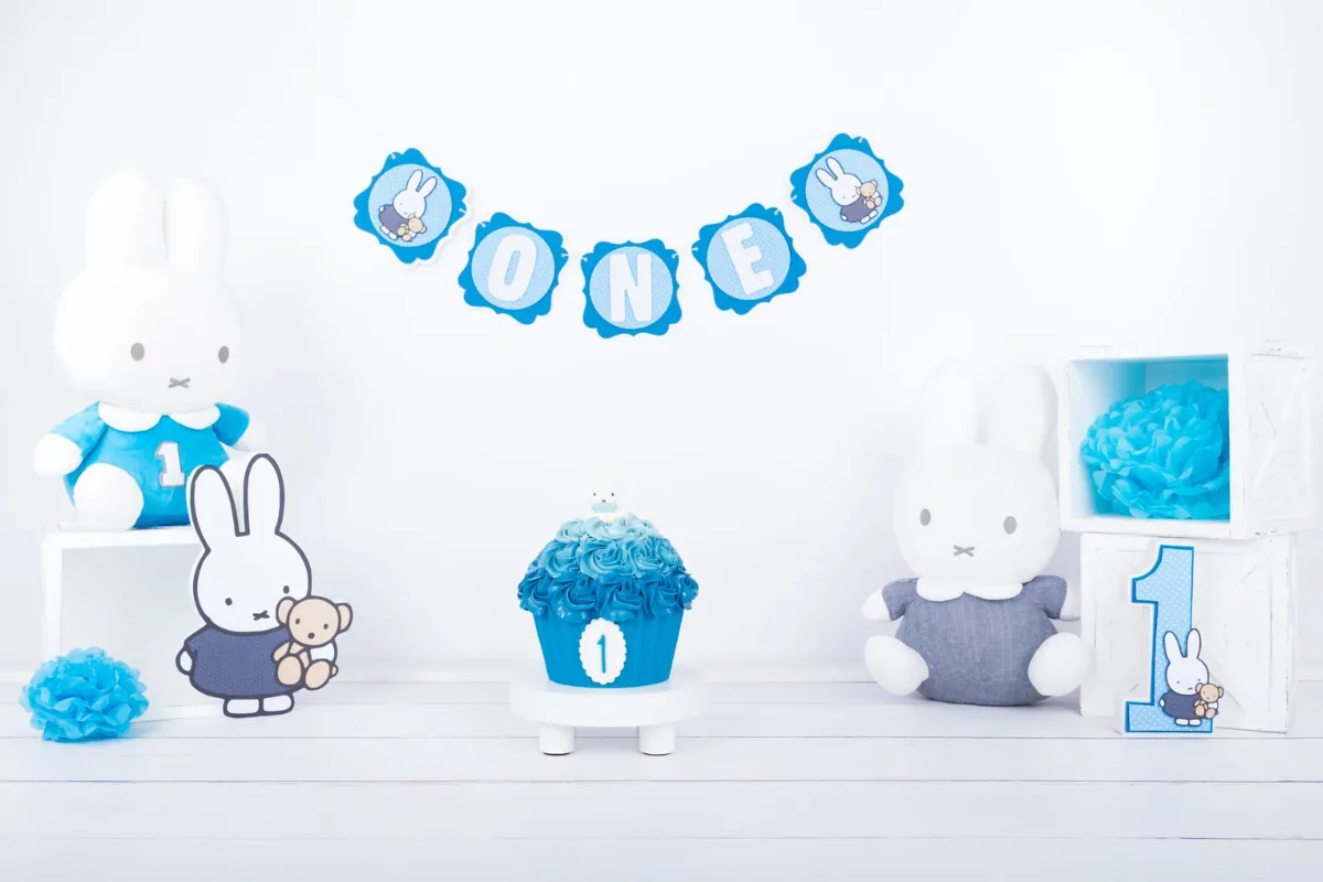 Nijntje cake smash decor in blauw met knuffels en slinger, cakesmash fotoshoot Zoetermeer